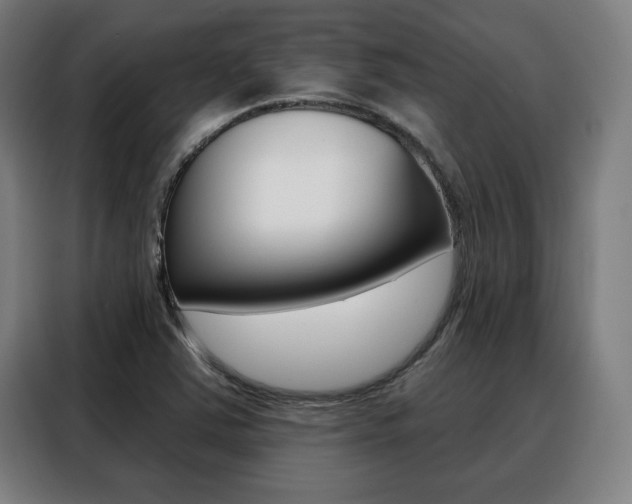 X0000088431363200705220845