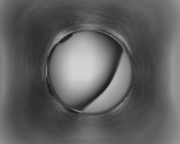X0000088431365200705220845
