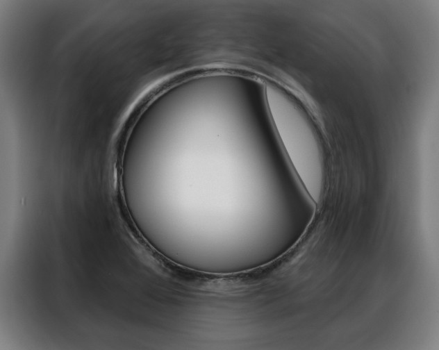 X0000088431368200705220845