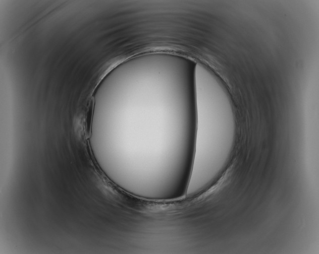 X0000088431369200705220845