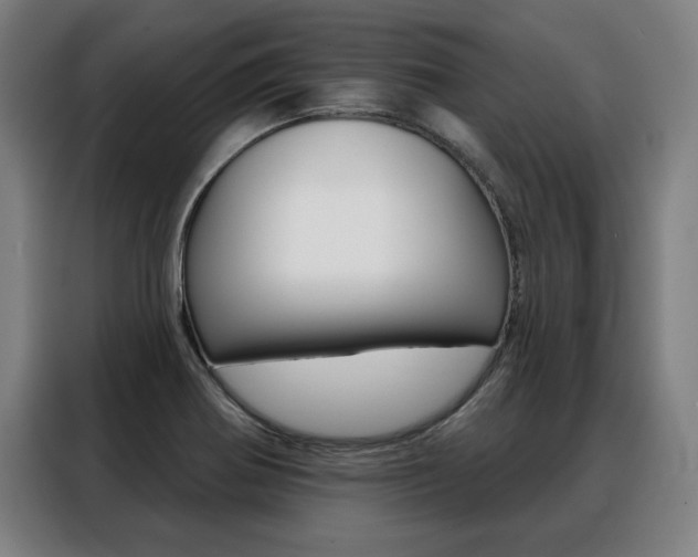 X0000088431370200705220845