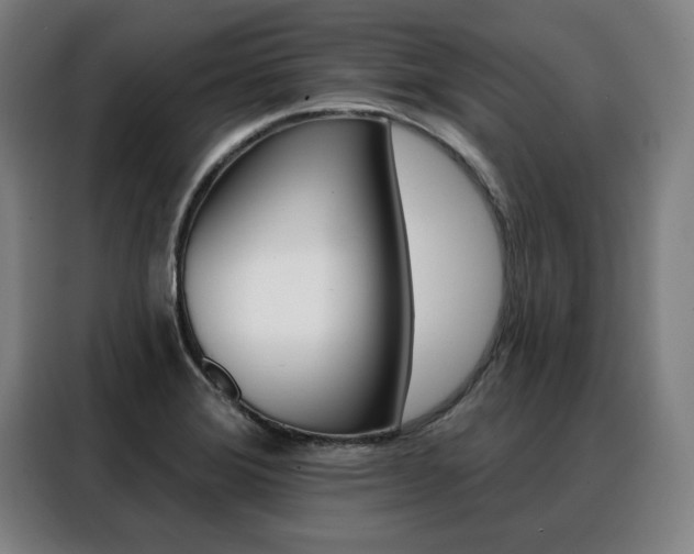 X0000088431372200705220845