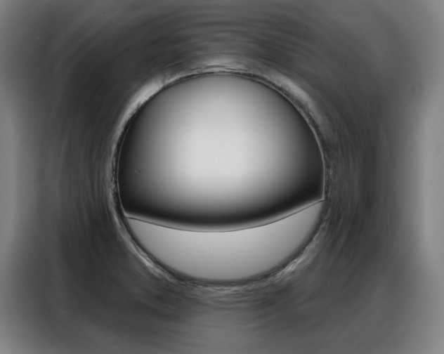 X0000088431373200705220845