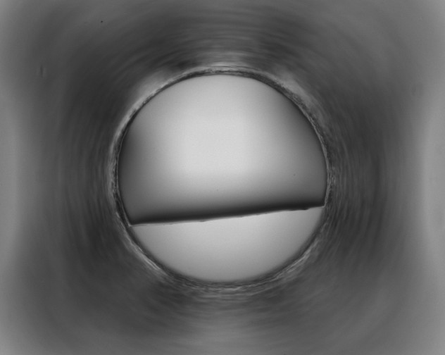 X0000088431374200705220845