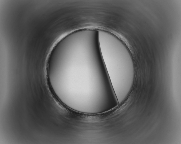 X0000088431375200705220845
