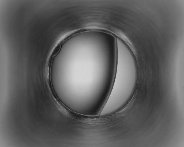 X0000088431376200705220845