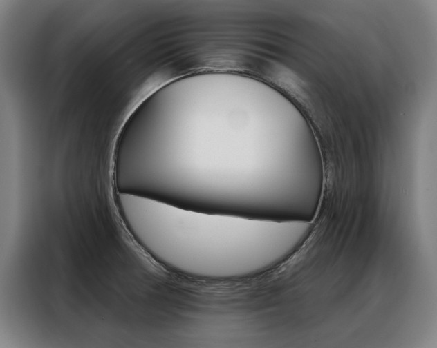 X0000088431378200705220845