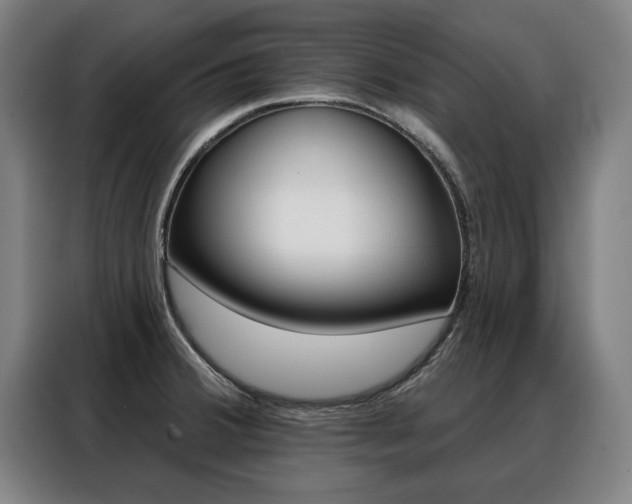 X0000088431380200705220845
