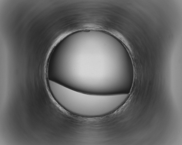 X0000088431381200705220845