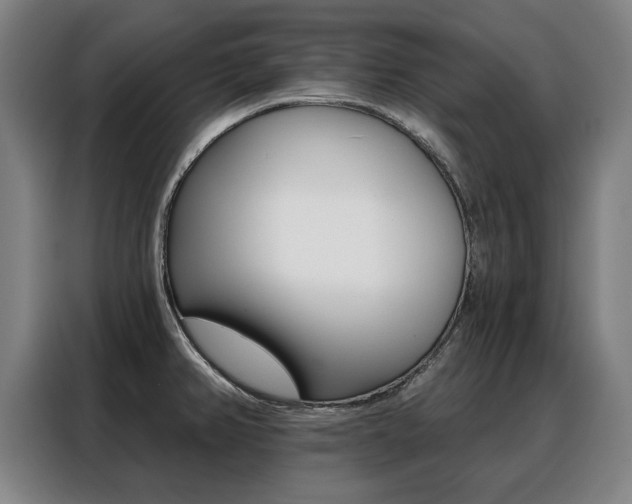X0000088431382200705220845