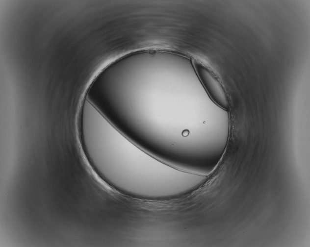 X0000088431383200705220845