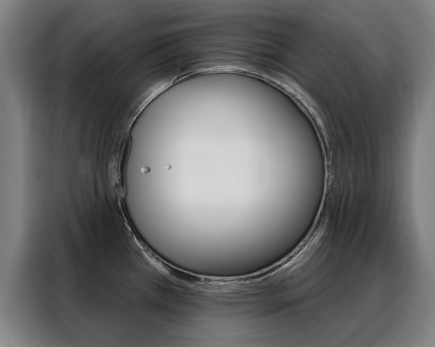 X0000088431385200705220845
