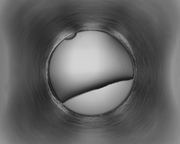 X0000088431386200705220845