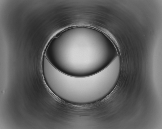 X0000088431388200705220845