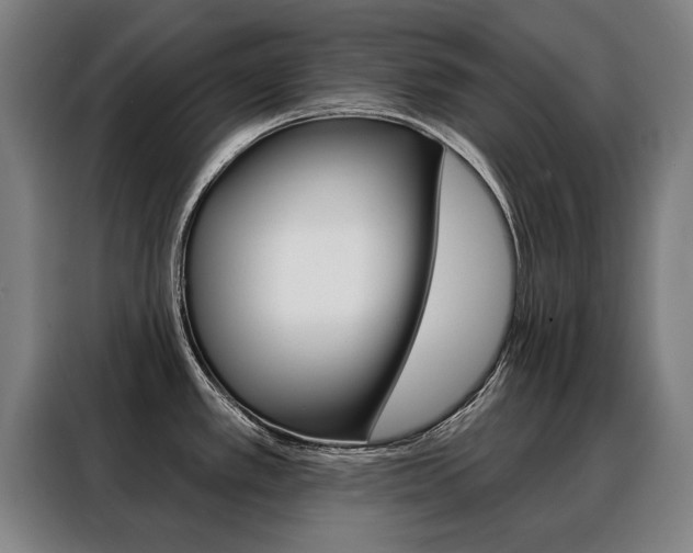 X0000088431389200705220845