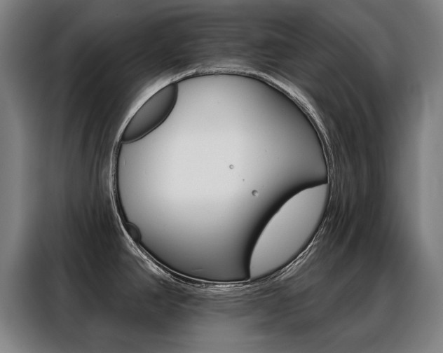 X0000088431390200705220845