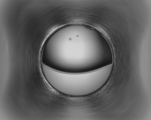 X0000088431392200705220845