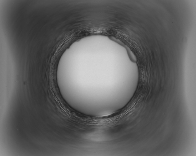 X0000088431393200705220844