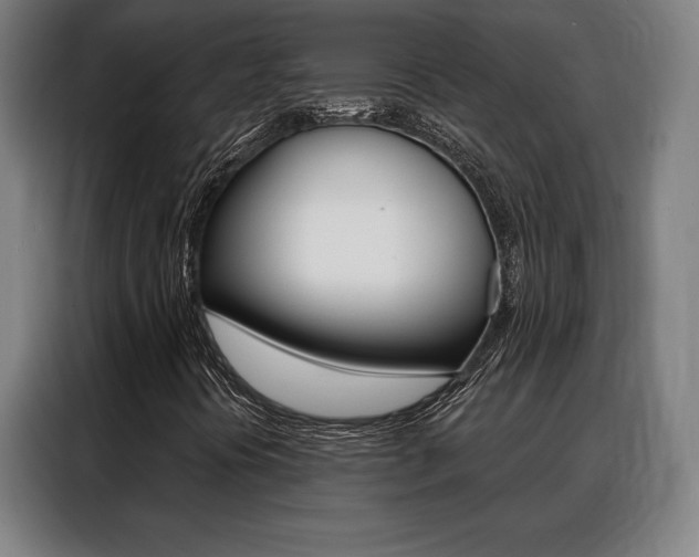 X0000088431394200705220844