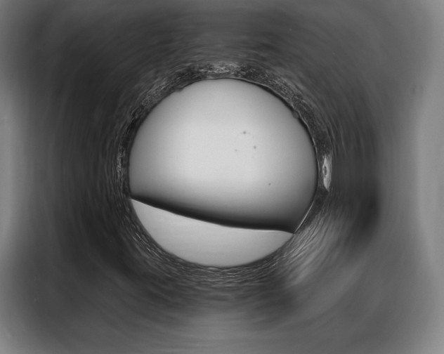 X0000088431395200705220844