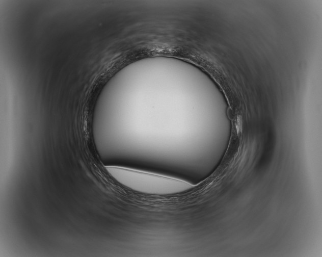 X0000088431396200705220844