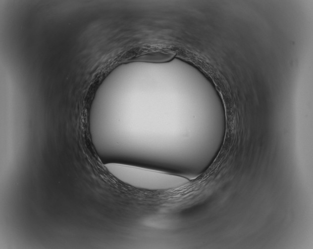 X0000088431397200705220844
