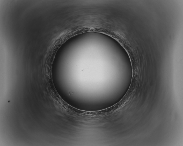 X0000088431398200705220844