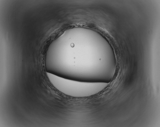 X0000088431399200705220844