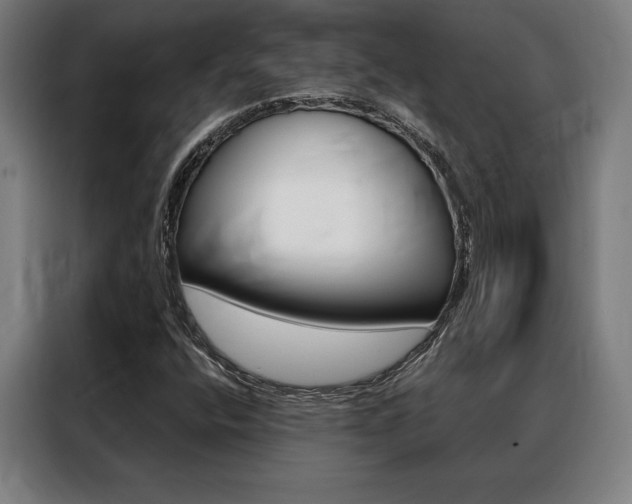 X0000088431400200705220844