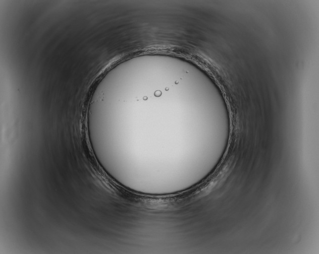 X0000088431401200705220844