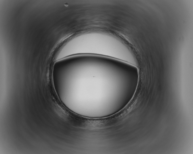 X0000088431402200705220844
