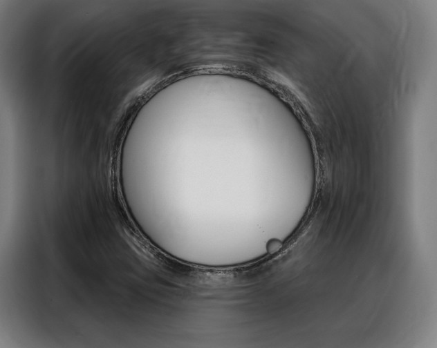 X0000088431403200705220844