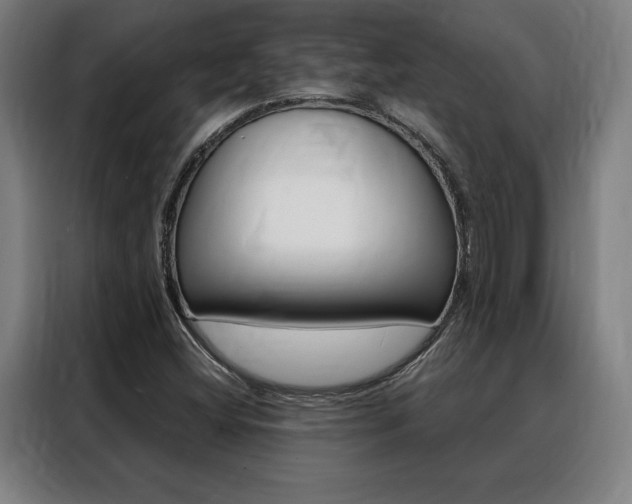 X0000088431404200705220844