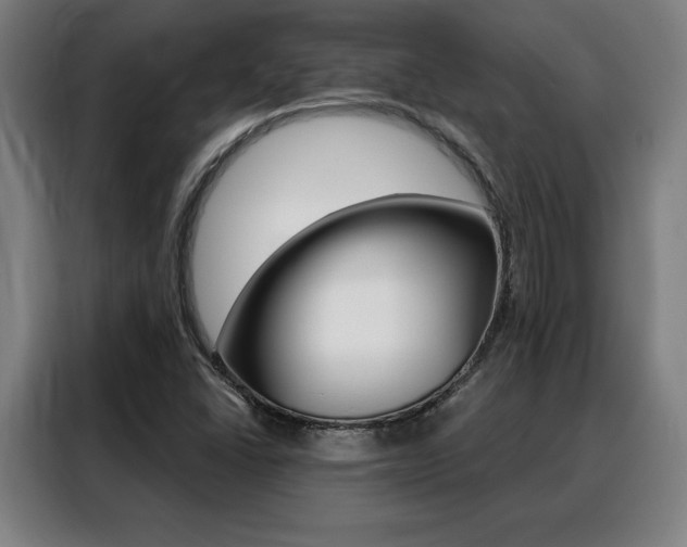 X0000088431406200705220844