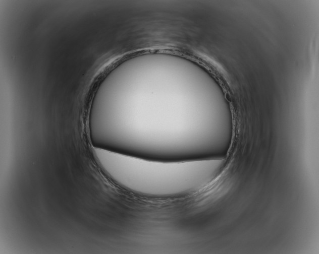 X0000088431407200705220844