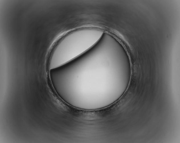 X0000088431408200705220844