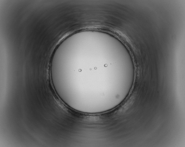 X0000088431409200705220844
