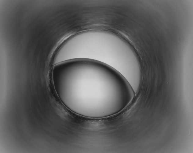 X0000088431410200705220844
