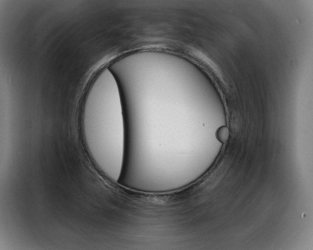 X0000088431411200705220844
