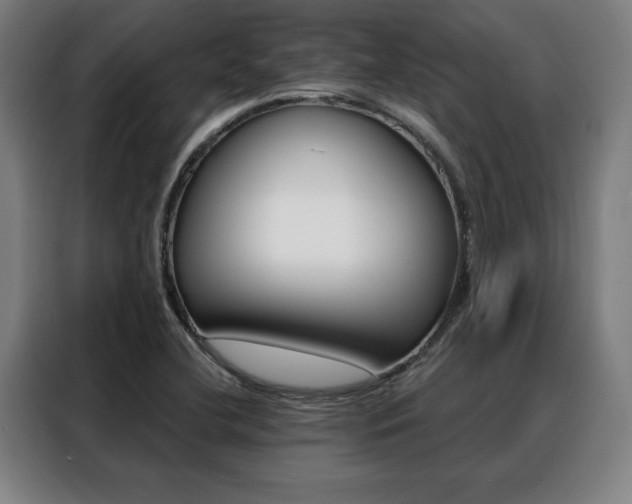 X0000088431412200705220844