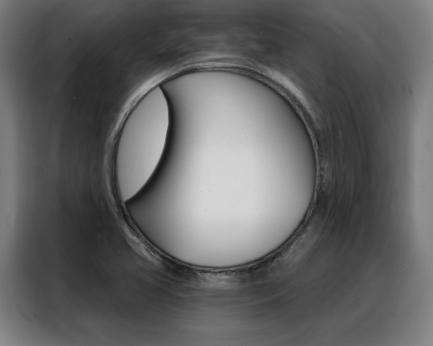 X0000088431413200705220844