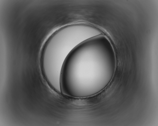 X0000088431414200705220844