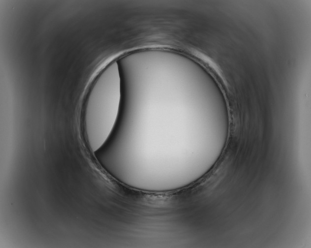 X0000088431415200705220844