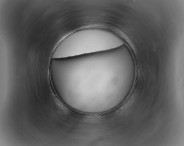 X0000088431417200705220845
