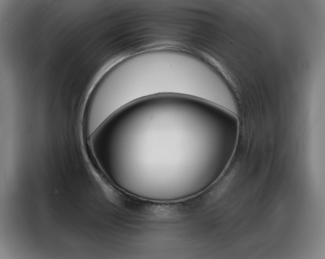 X0000088431418200705220845