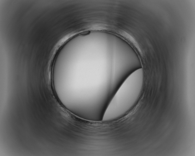 X0000088431419200705220845