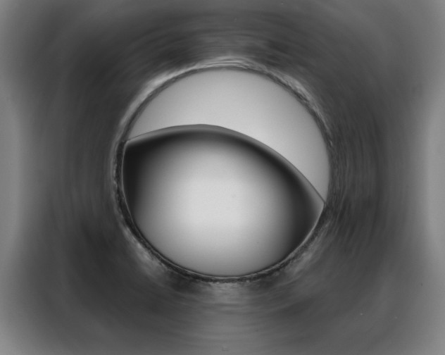 X0000088431422200705220845