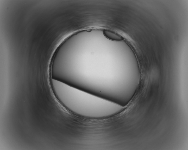 X0000088431423200705220845