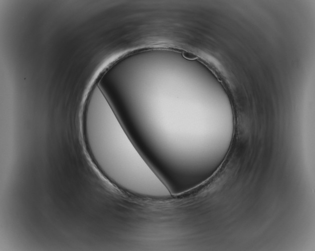 X0000088431424200705220845