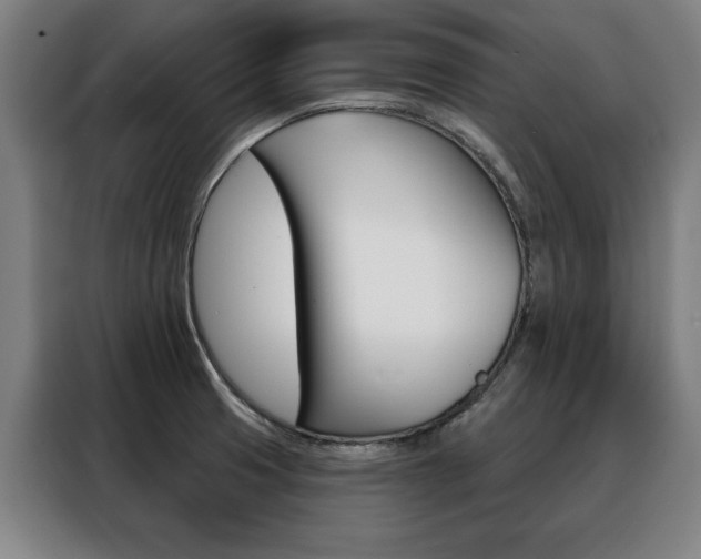 X0000088431425200705220845